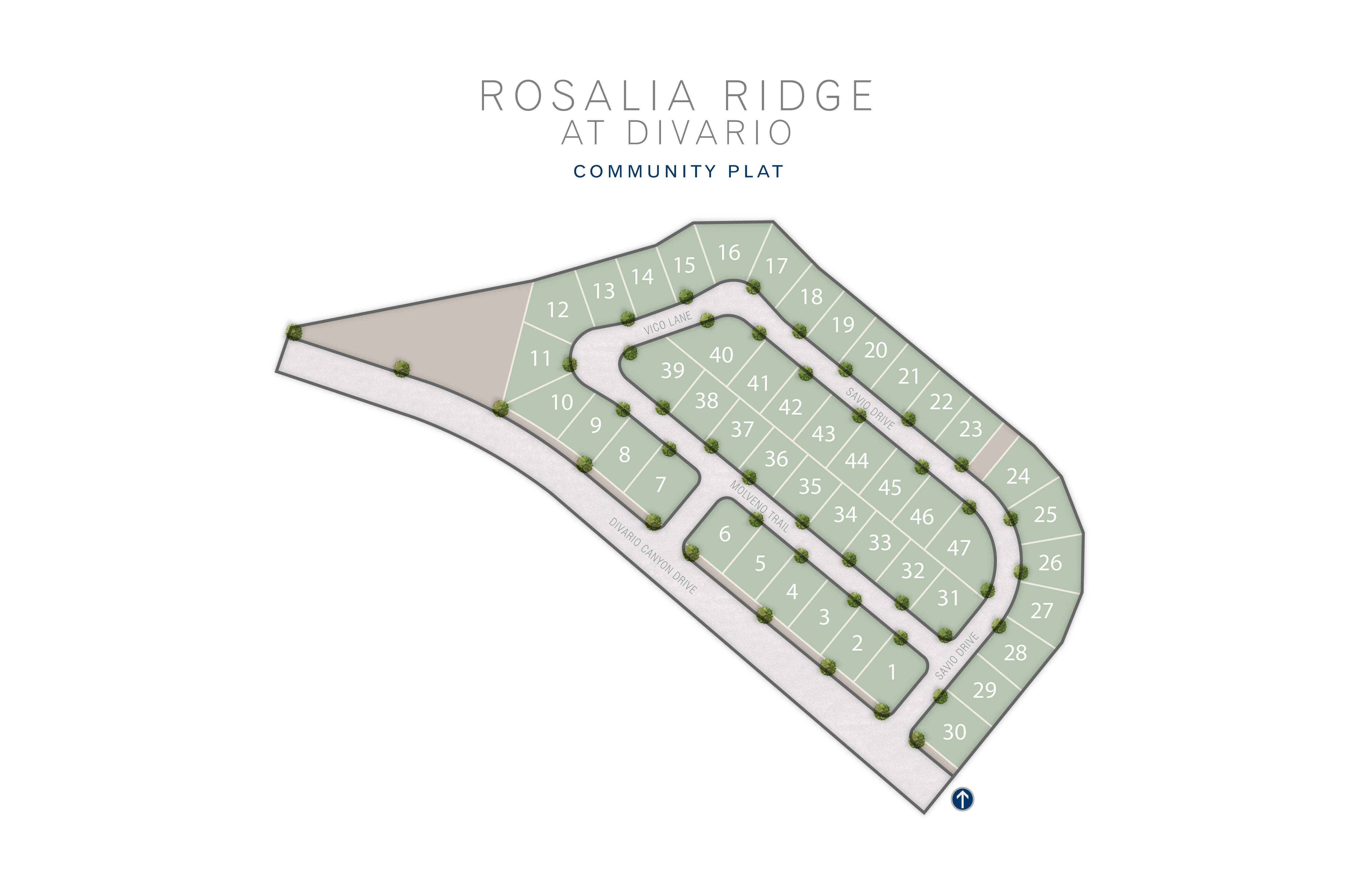 St. George, UT Rosalia Ridge At Divario New Homes